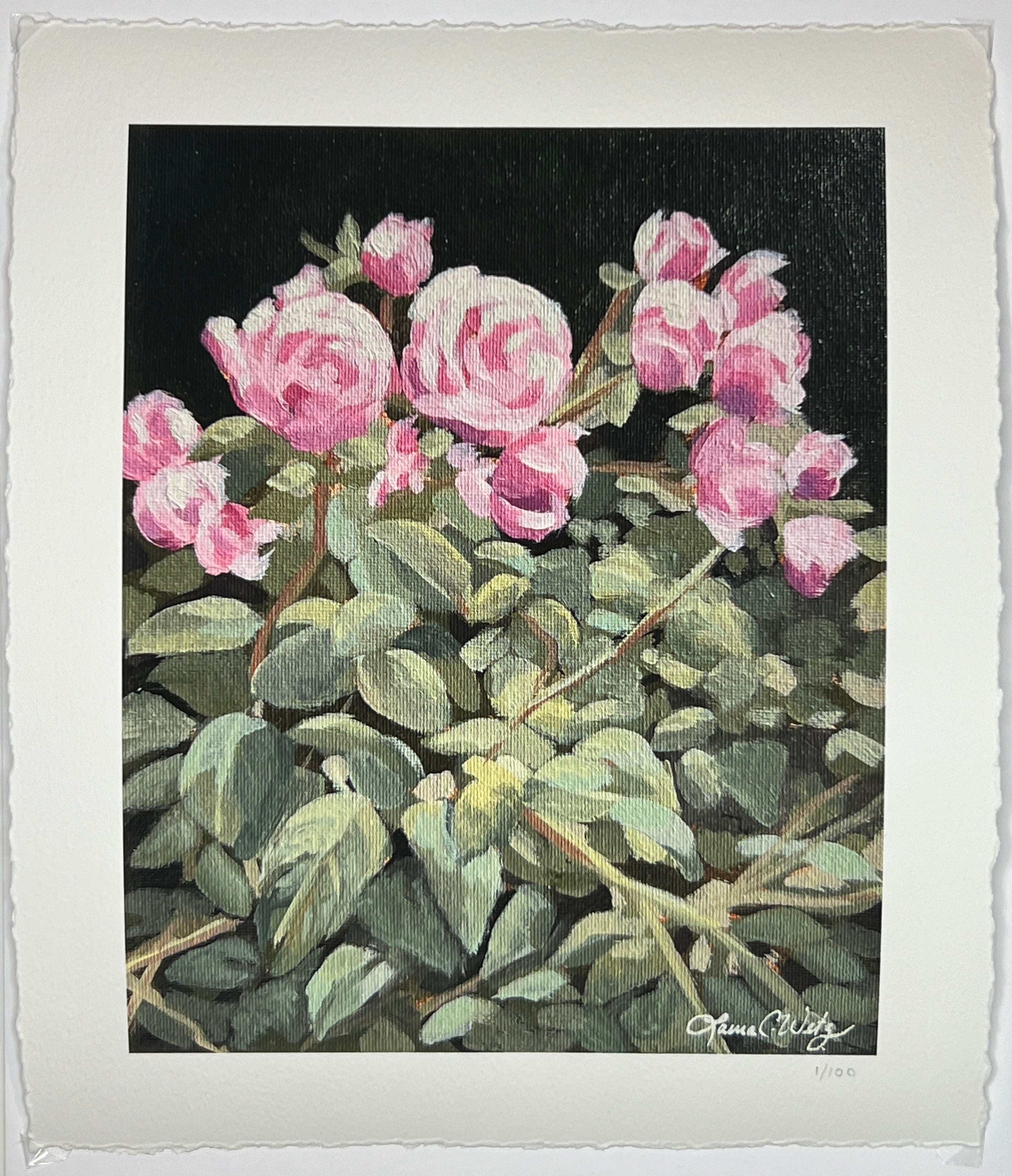 Night Blooms - Giclee Print- 8x10 inch
