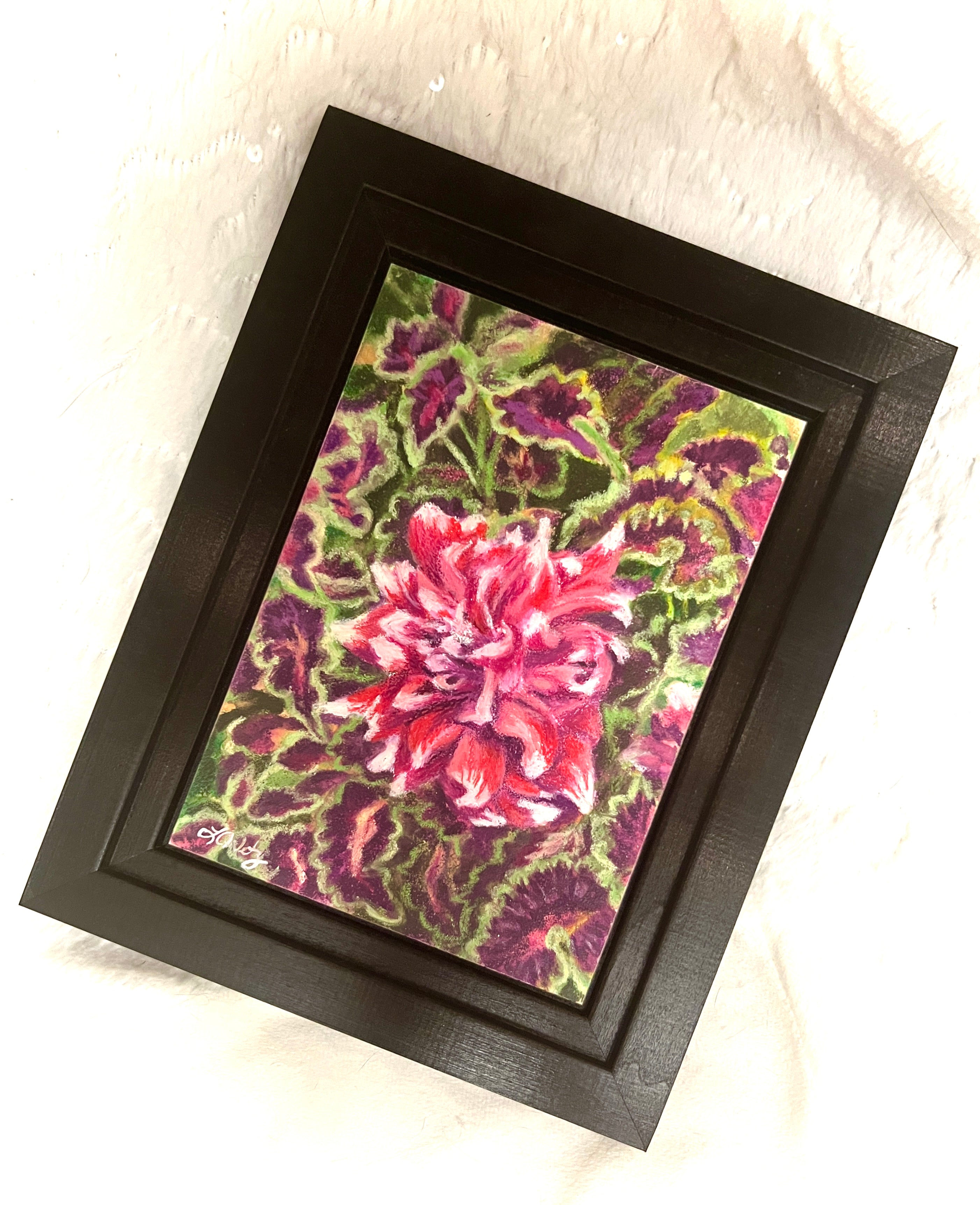 Red and White Dahlia wrapped in Coleus - Original Painting - Framed